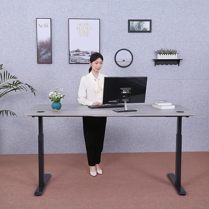 ApexDesk Elite Pro Series 71" x 33" Electric Height Adjustable Stand up Desk