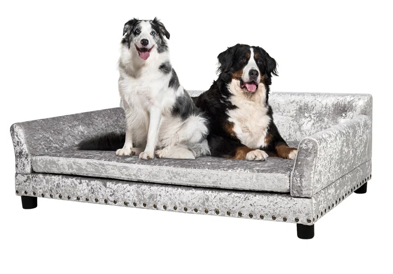BingoPaw Human Dog Bed