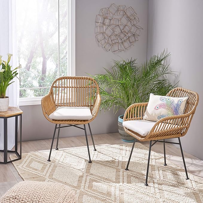 Christopher Knight Home Rodney Indoor Woven Faux Rattan Chairs