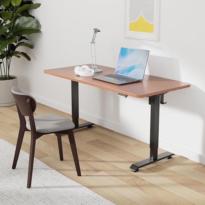 Monomi Electric Standing Desk
