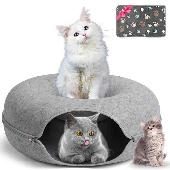 Wayfair Divion Foam Cat Bed